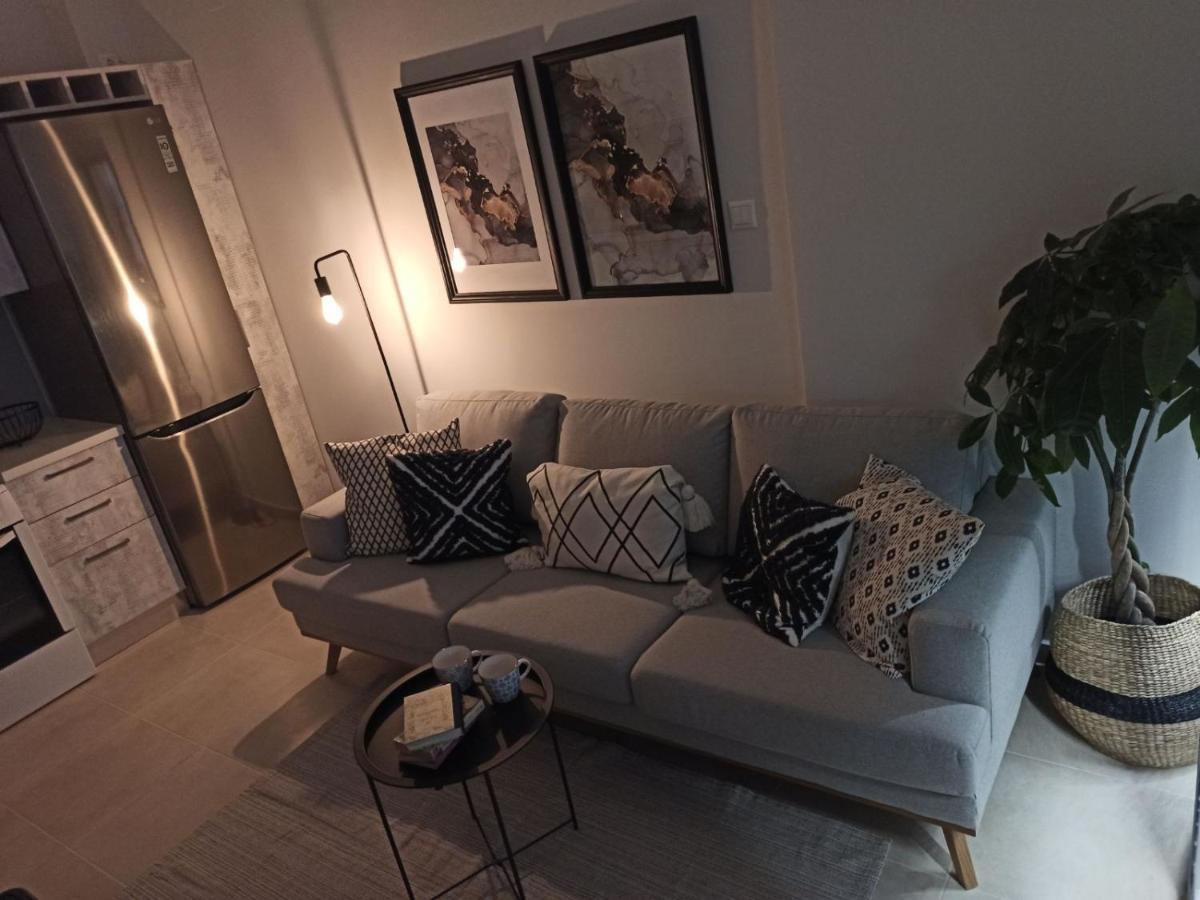 Stylish Ground Floor Maisonette Volos Eksteriør billede